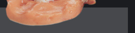 lachs hummer